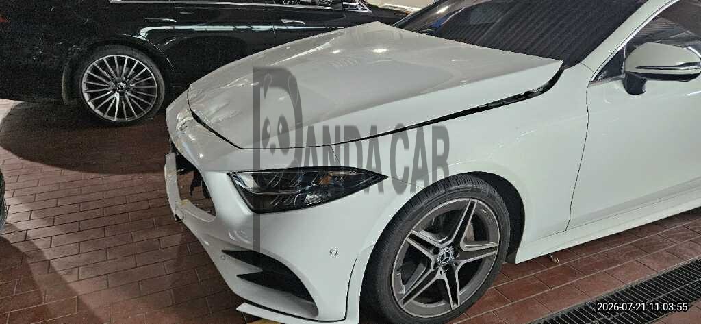 2019 Mercedes-Benz CLS 300 d, photograph 3