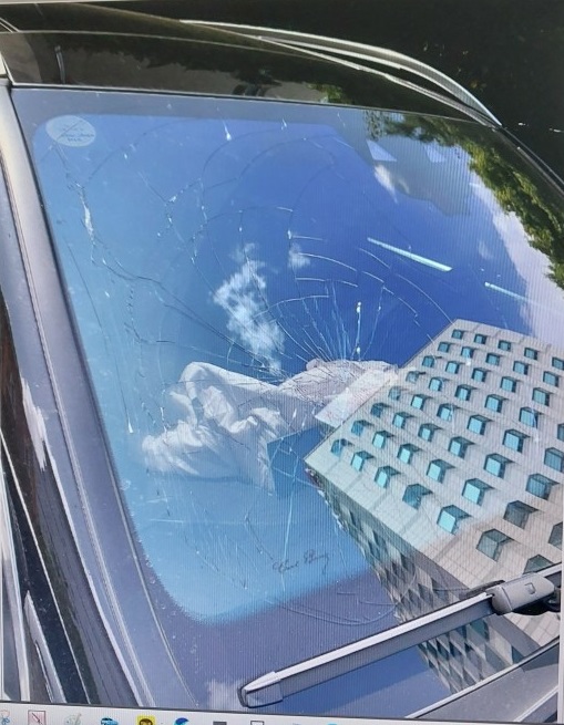 2022 Mercedes-Benz gls400 d 4matic, photograph 2