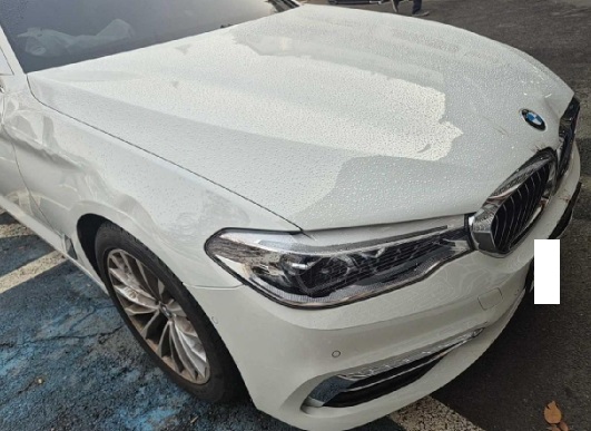 2019 BMW 520d xDrive Luxury, photograph 2