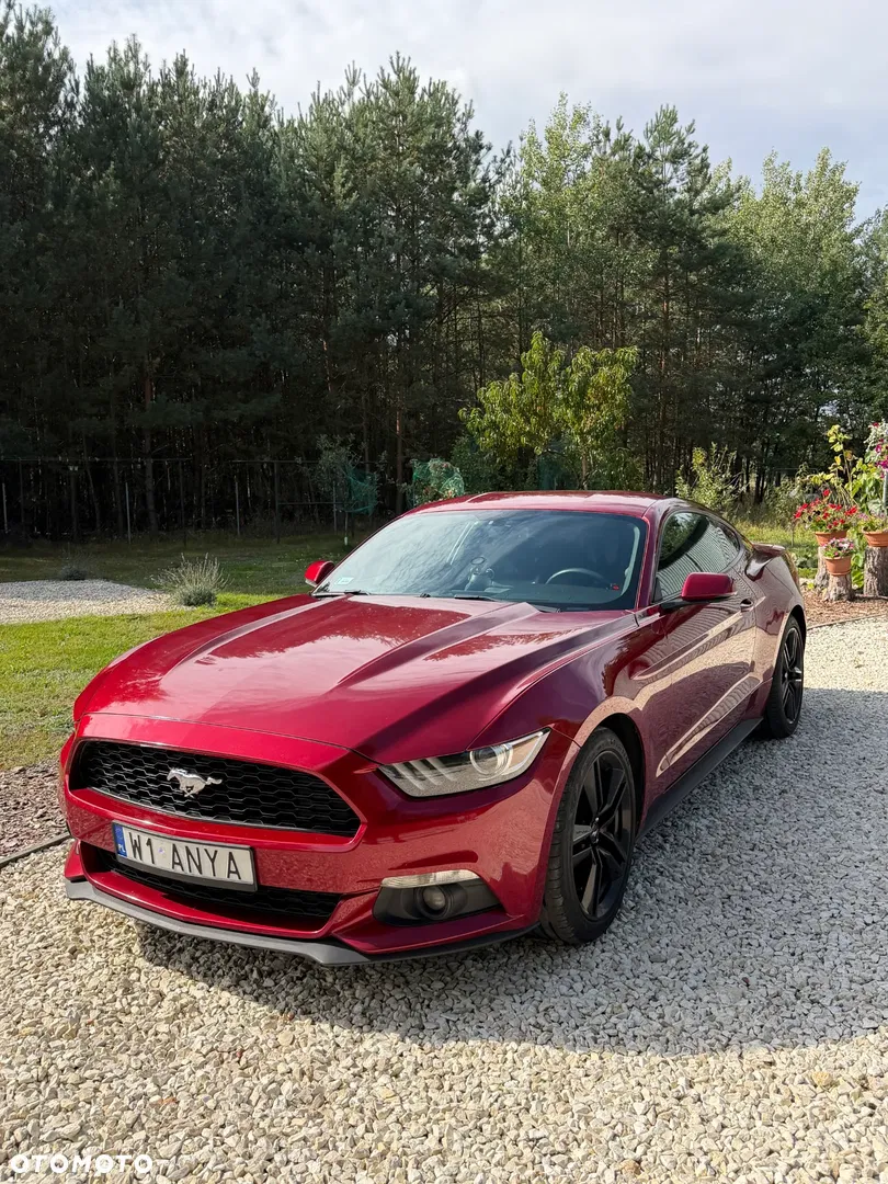 Ford Mustang — photo 1 of 20
