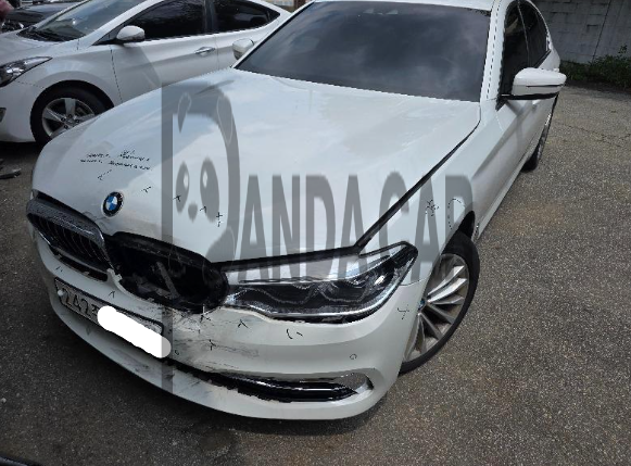 2019 BMW 520d xDrive Luxury, photograph 1