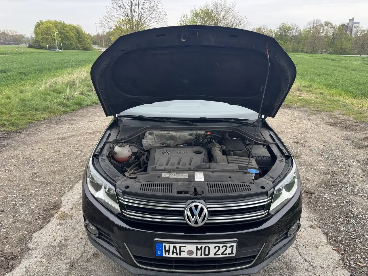 2011 Volkswagen Tiguan 2.0 TDI DPF 4Motion DSG Sport & Style, photograph 5