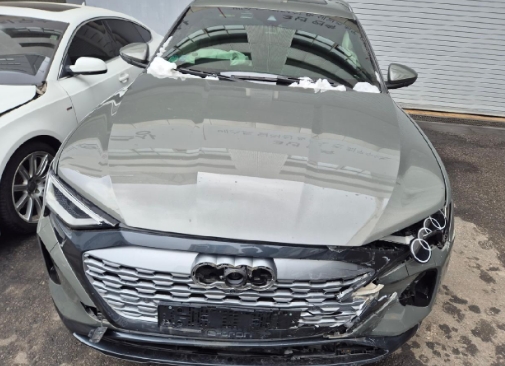 2024 Audi Q8 55 e-tron quattro, photograph 6