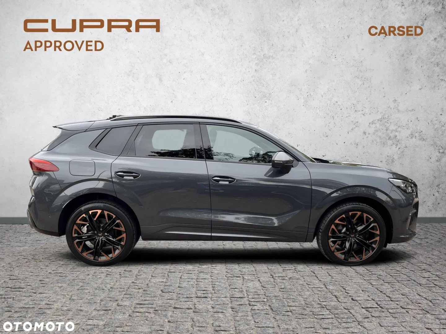 2025 Cupra Terramar 2.0 TSI 4Drive VZ DSG, photograph 8