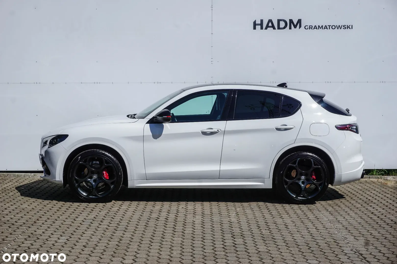 2024 Alfa Romeo Stelvio 2.0 Turbo Tributo Italiano Q4, photograph 5