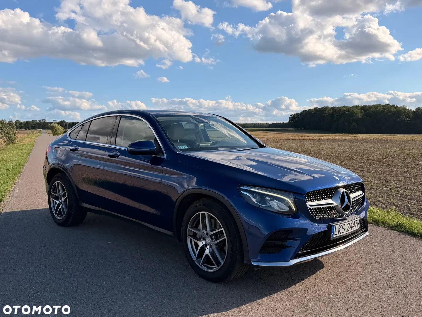 Mercedes-Benz GLC 250 4-Matic — photo 1 of 13