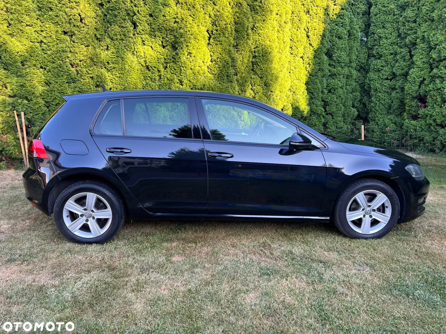 2012 Volkswagen Golf 1.6 TDI Highline, photograph 9