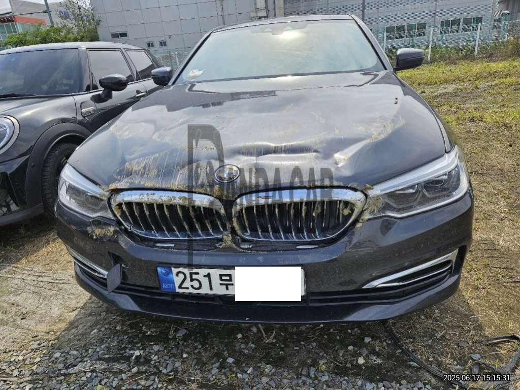 2020 BMW 520d Luxury, photograph 1