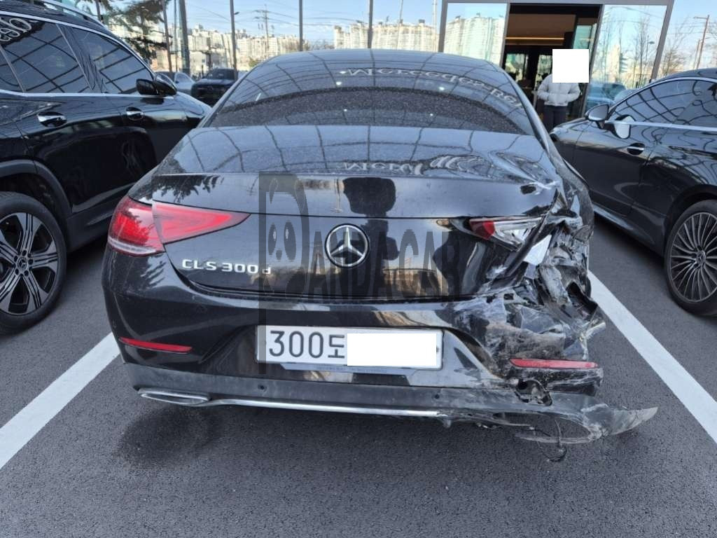 2020 Mercedes-Benz CLS300 d, photograph 4