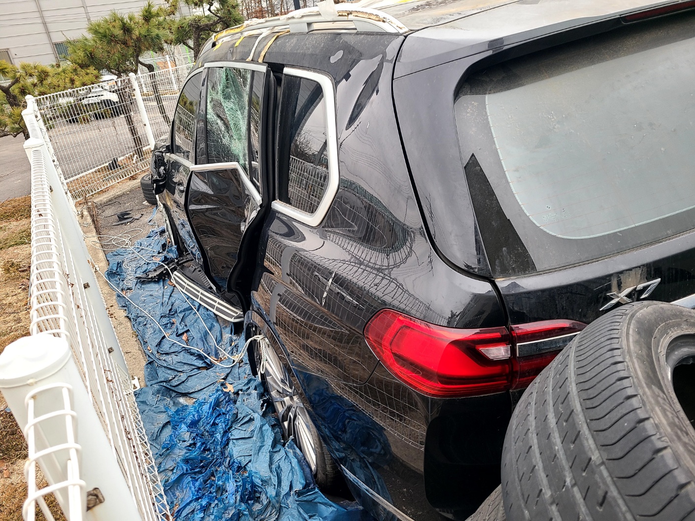 2020 BMW X7 xDrive30d Design Pure Excellence, photograph 3