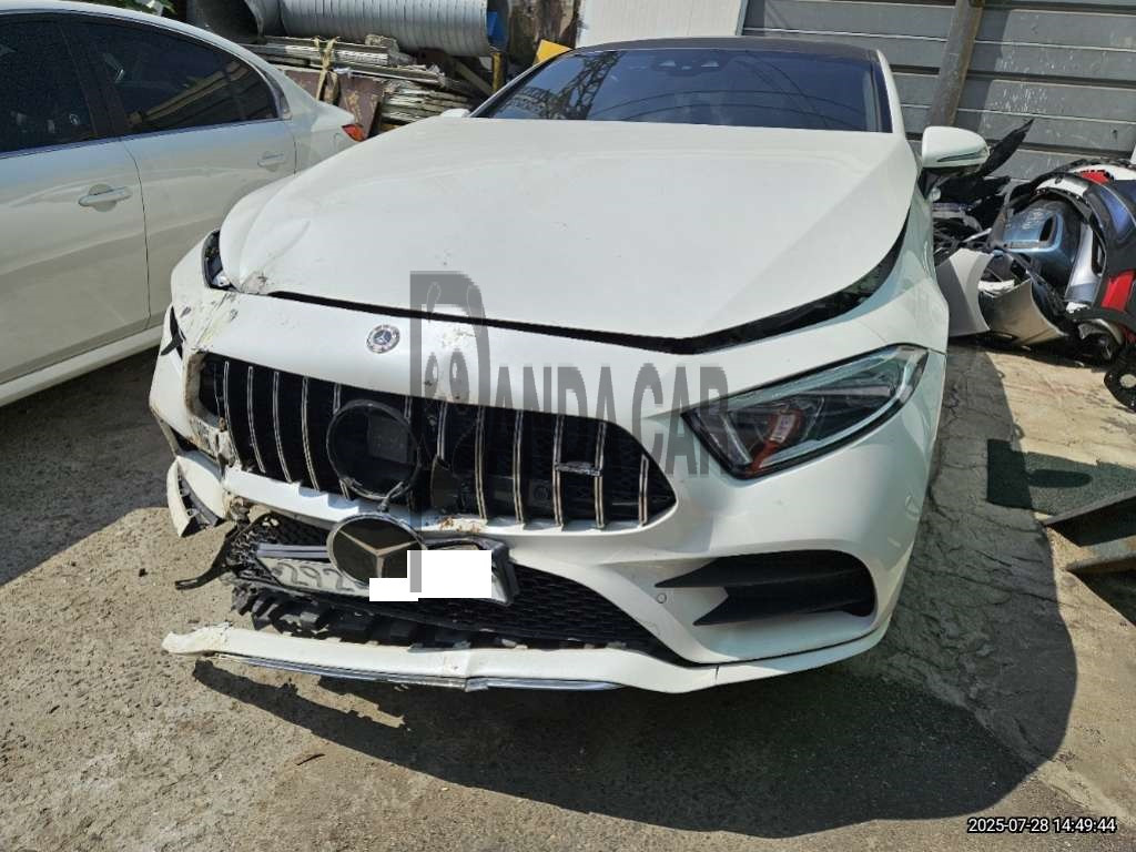 2019 Mercedes-Benz CLS450 4Matic, photograph 3