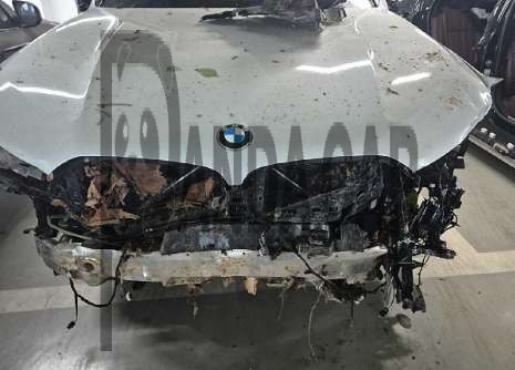 2024 BMW X5 M Competition, photograph 4