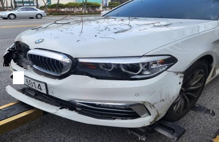 2018 BMW 520i, photograph 3