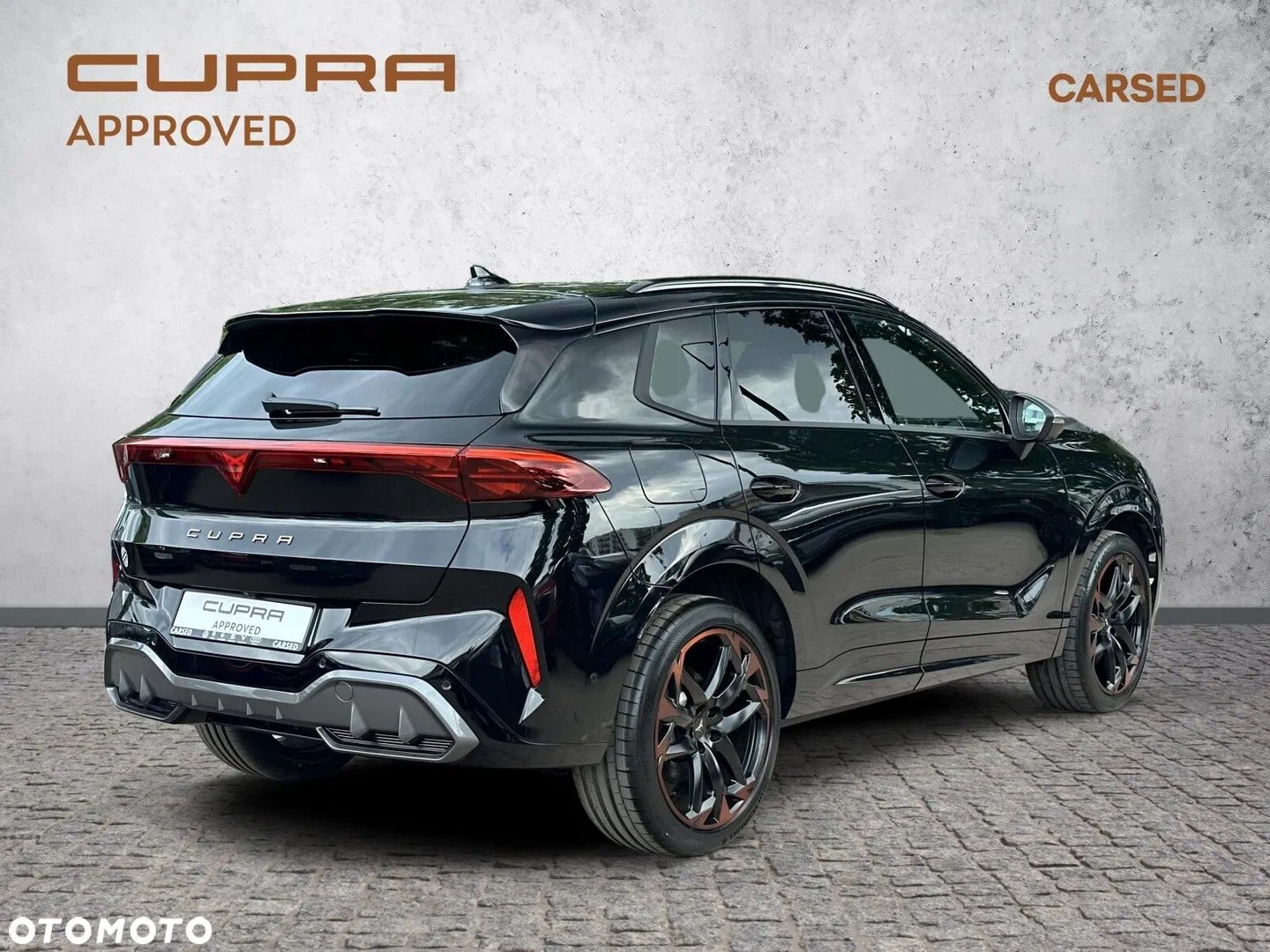 2025 Cupra Terramar 2.0 TSI 4Drive VZ DSG, photograph 7
