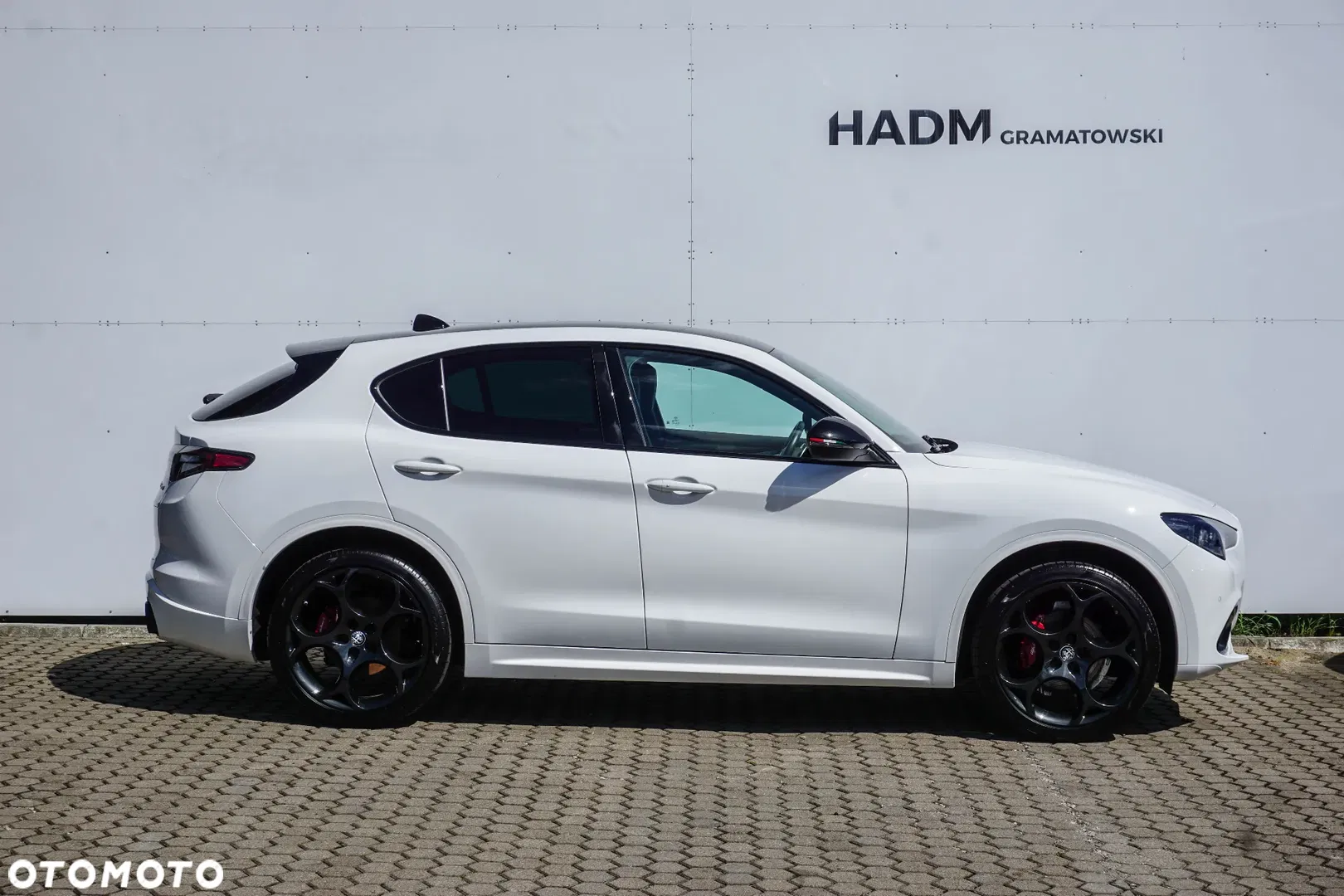 2024 Alfa Romeo Stelvio 2.0 Turbo Tributo Italiano Q4, photograph 9