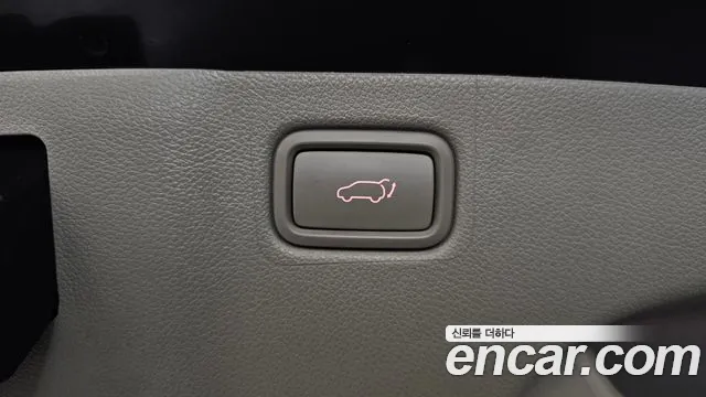 2019 Kia Canival 9-Seater Noblesse Special, photograph 5