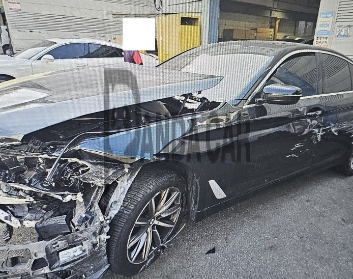2019 BMW 520i Luxury, photograph 4