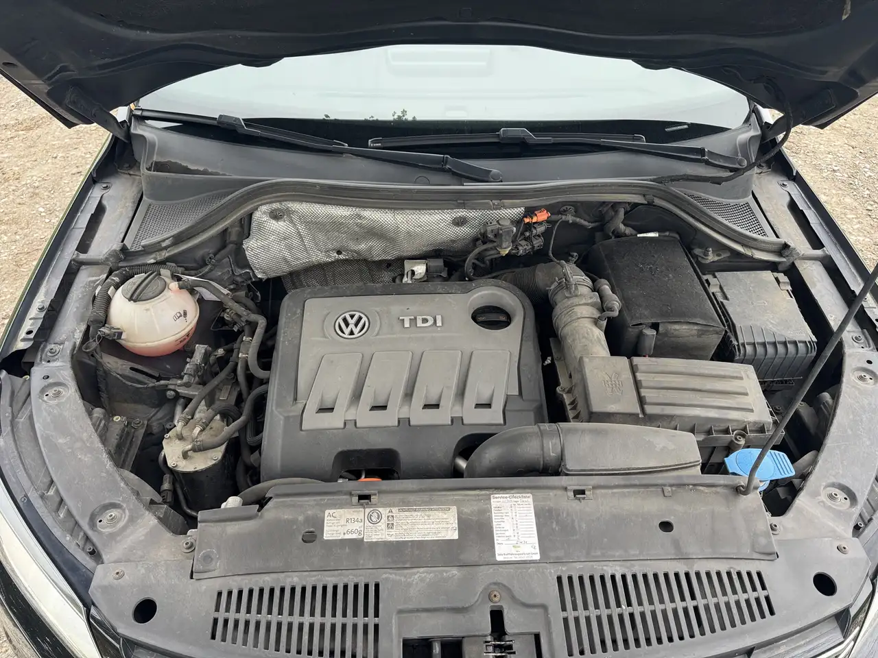 2011 Volkswagen Tiguan 2.0 TDI DPF 4Motion DSG Sport & Style, photograph 2