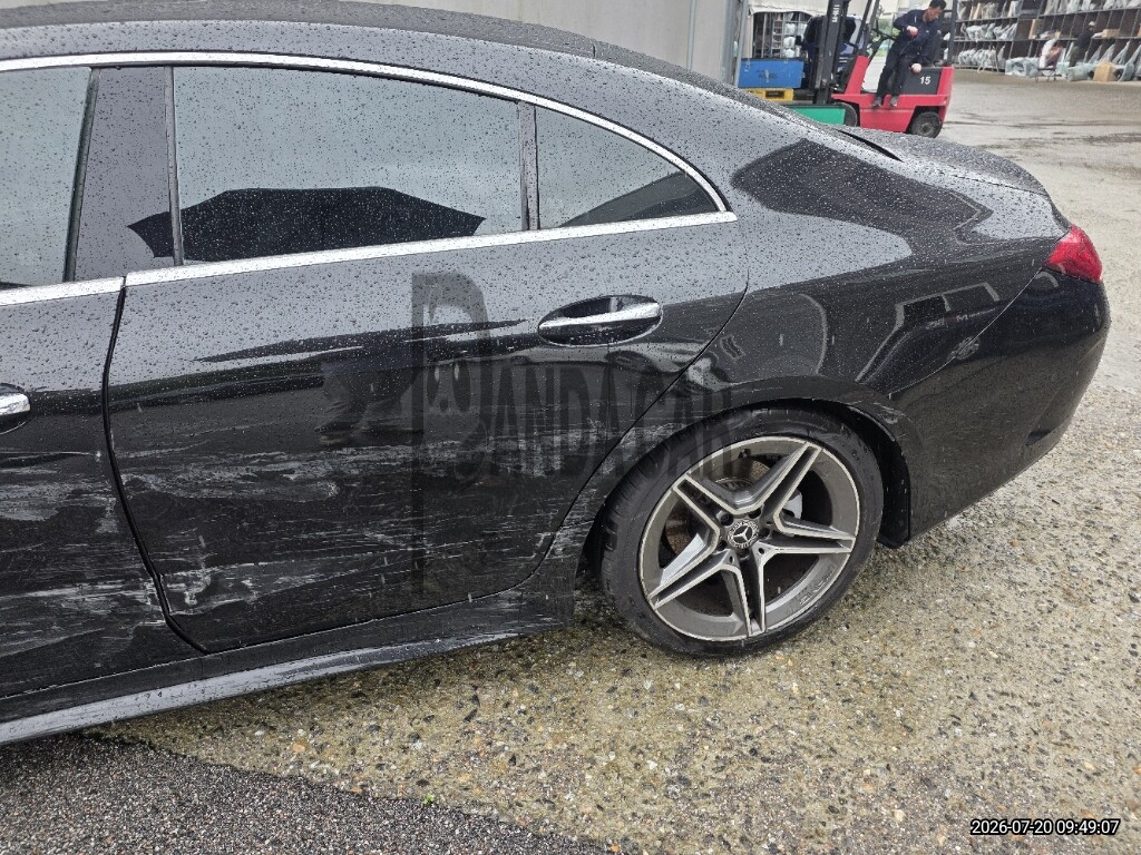 2019 Mercedes-Benz CLS 300 d, photograph 2