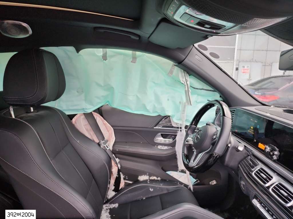 2022 Mercedes-Benz Mercedes-Maybach GLS600 4MATIc, photograph 2