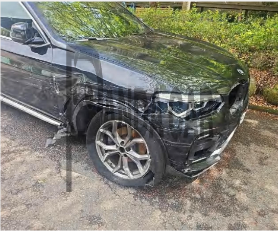 2019 BMW X4 xDrive20d xLine, photograph 2
