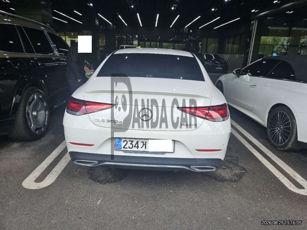 2023 Mercedes-Benz CLS300 d 4MATIC, photograph 1