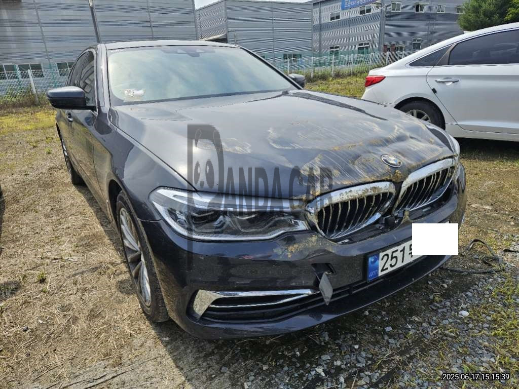 2020 BMW 520d Luxury, photograph 5