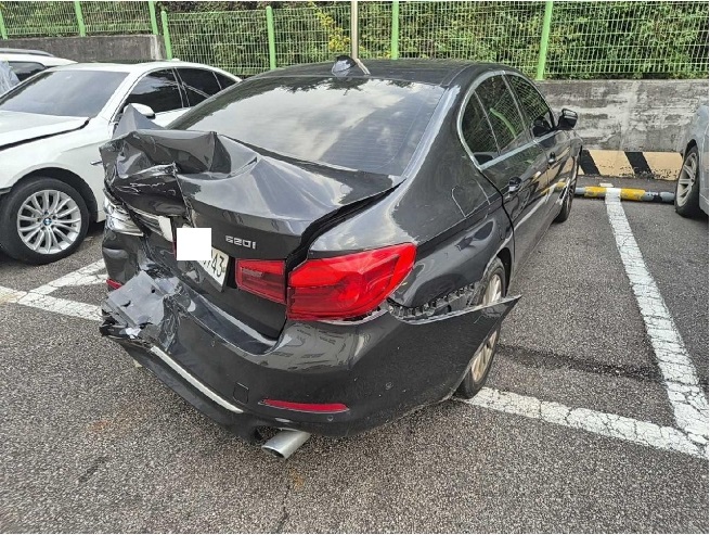 2020 BMW 520i Luxury, photograph 4