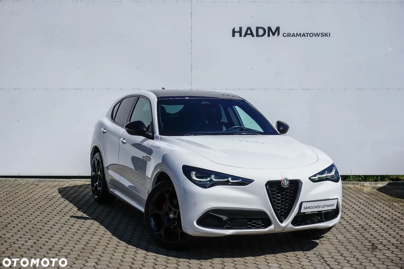 2024 Alfa Romeo Stelvio 2.0 Turbo Tributo Italiano Q4, photograph 1