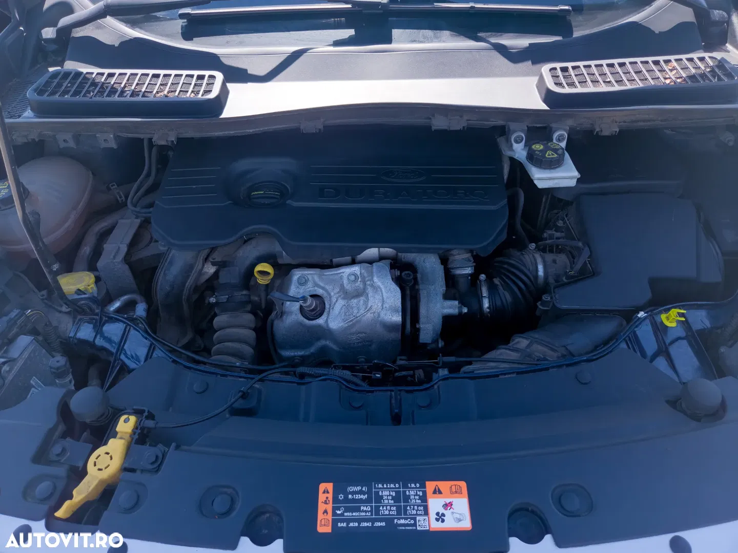 2017 Ford Kuga 1.5 TDCi 2x4 Business Edition, photograph 7