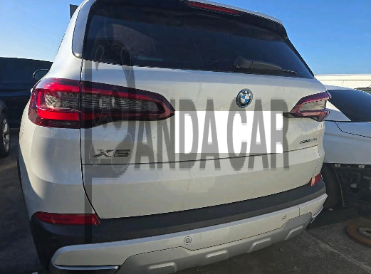 2022 BMW X5 xDrive45e iPerformance, photograph 1
