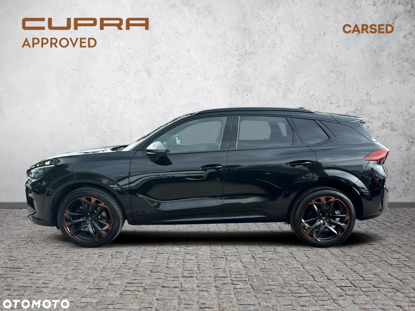 2025 Cupra Terramar 2.0 TSI 4Drive VZ DSG, photograph 2