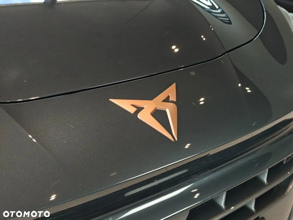 2025 Cupra Terramar, photograph 5