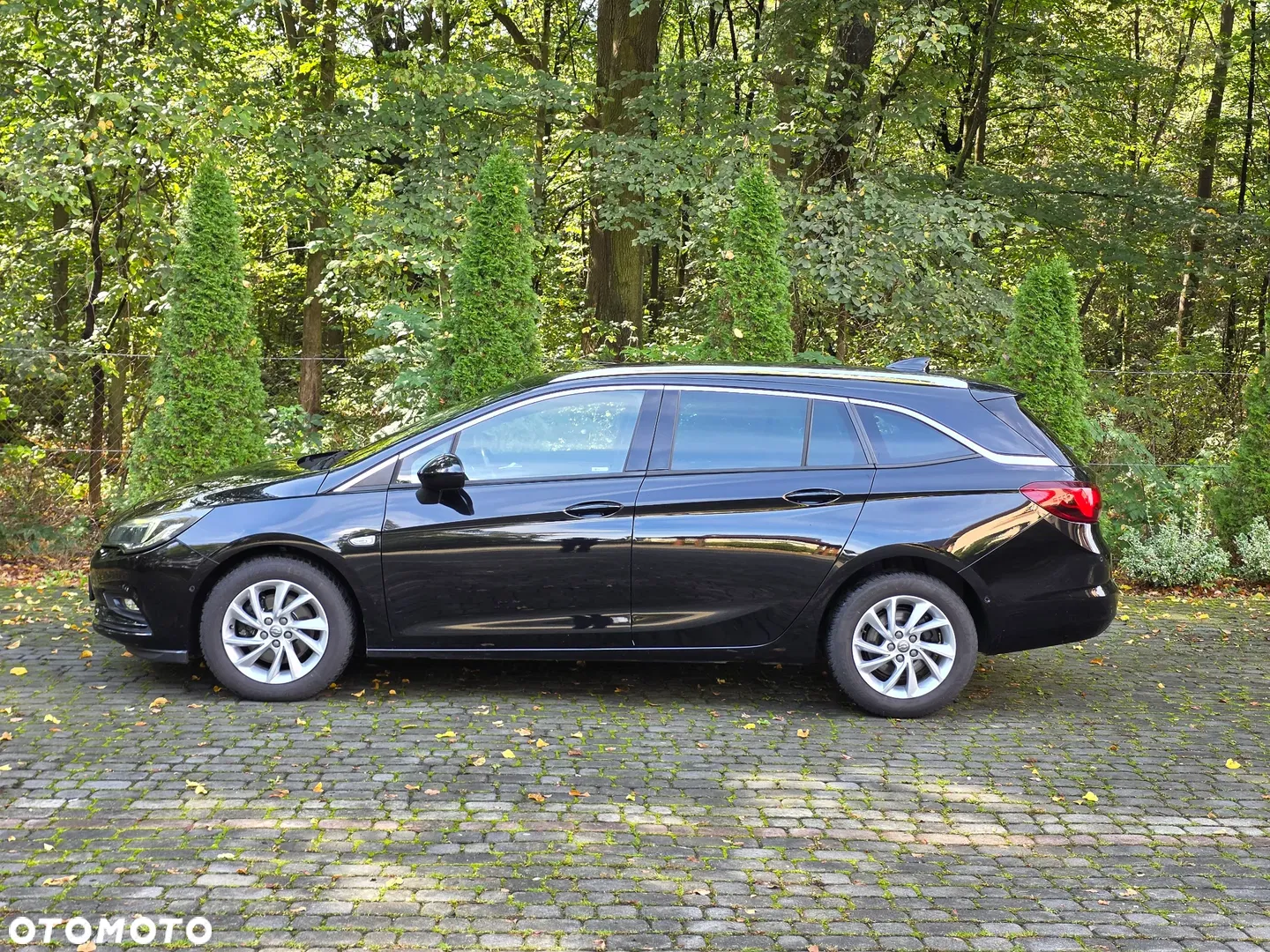 2017 Opel Astra 1.6 CDTI DPF ecoFLEX Start/Stop Exklusiv, photograph 8