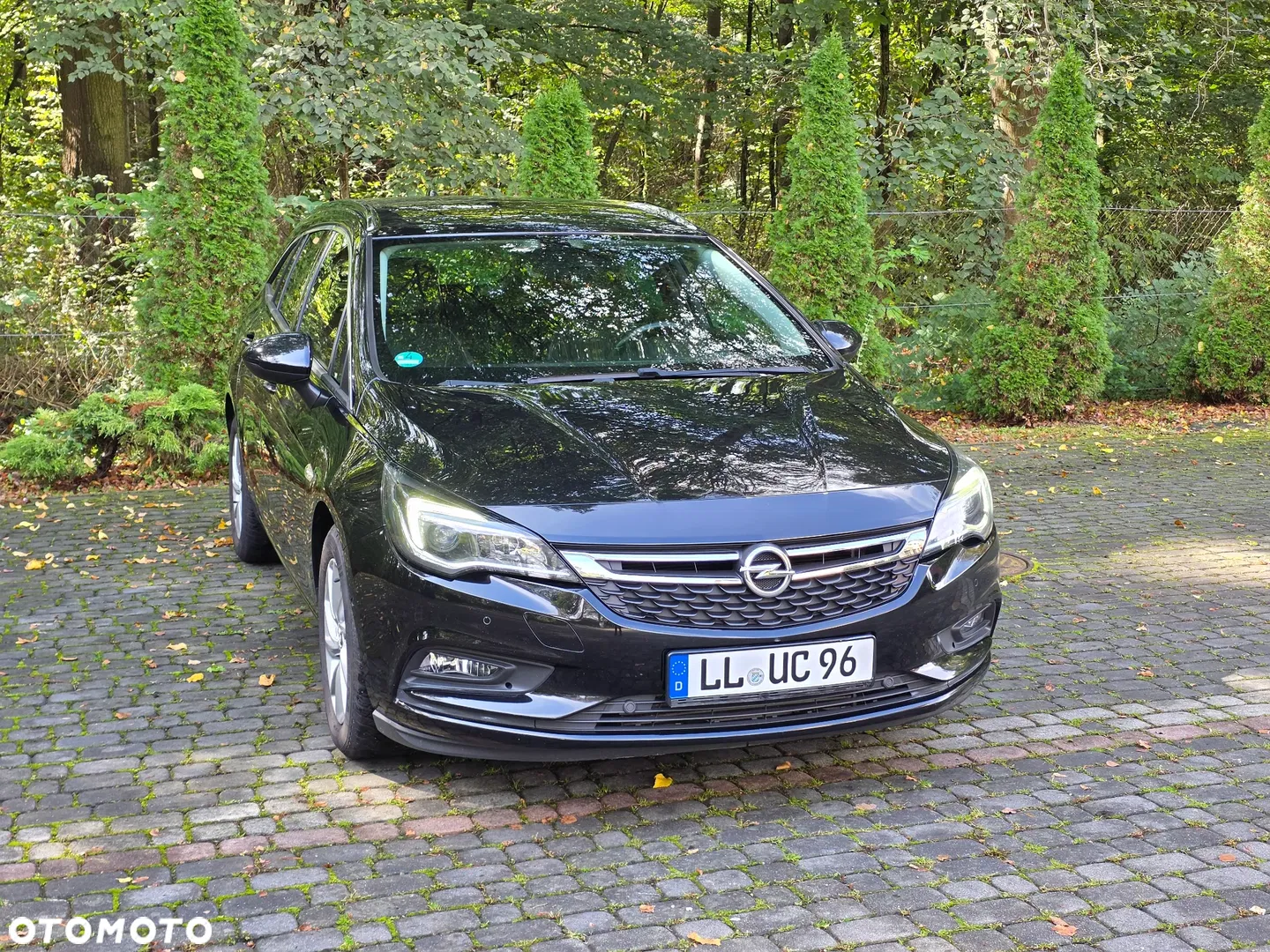 2017 Opel Astra 1.6 CDTI DPF ecoFLEX Start/Stop Exklusiv, photograph 9