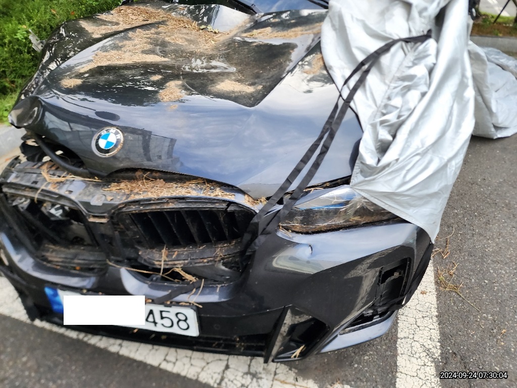 2022 BMW X4 xDrive20i, photograph 4