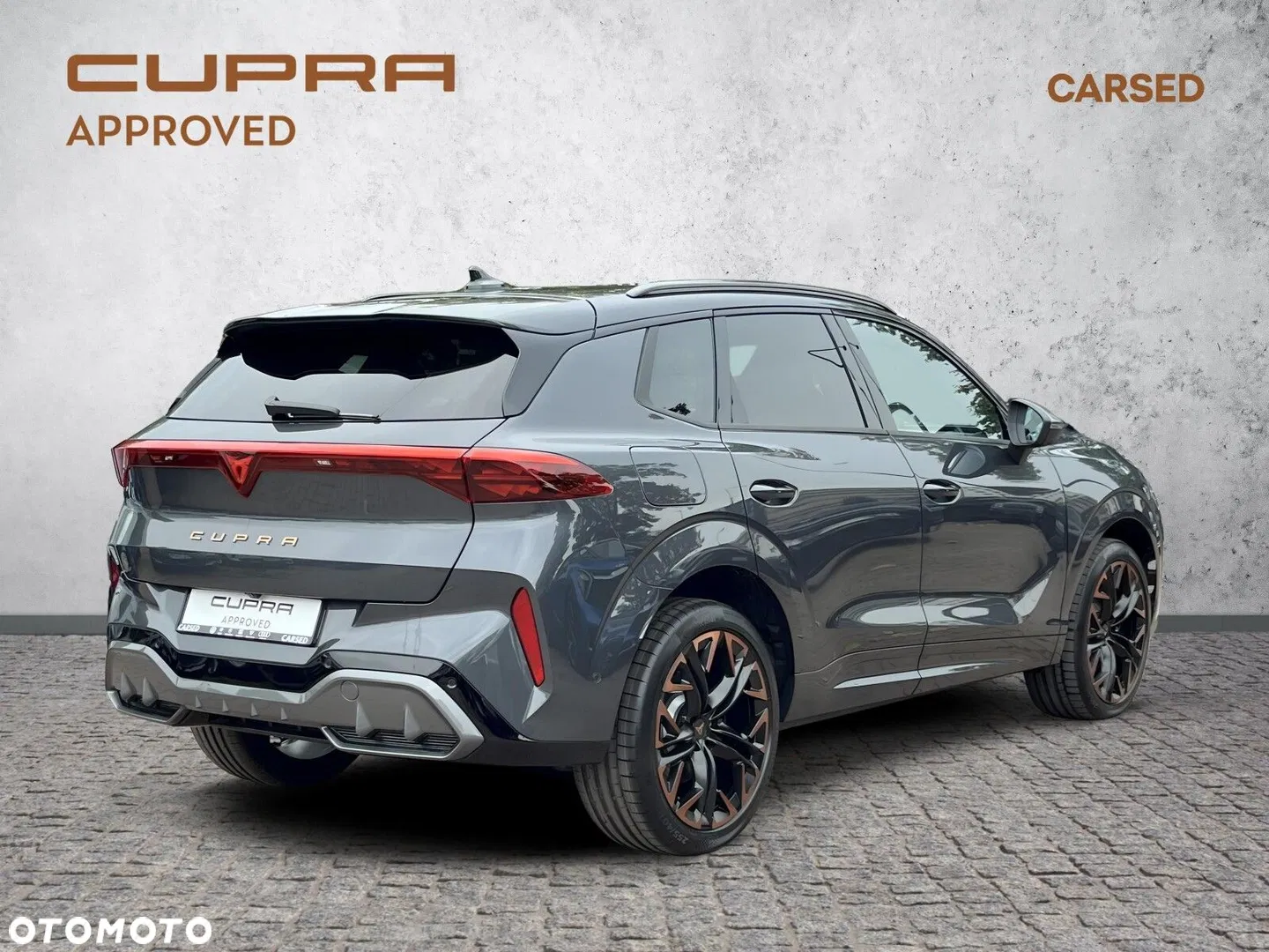 2025 Cupra Terramar 2.0 TSI 4Drive VZ DSG, photograph 7