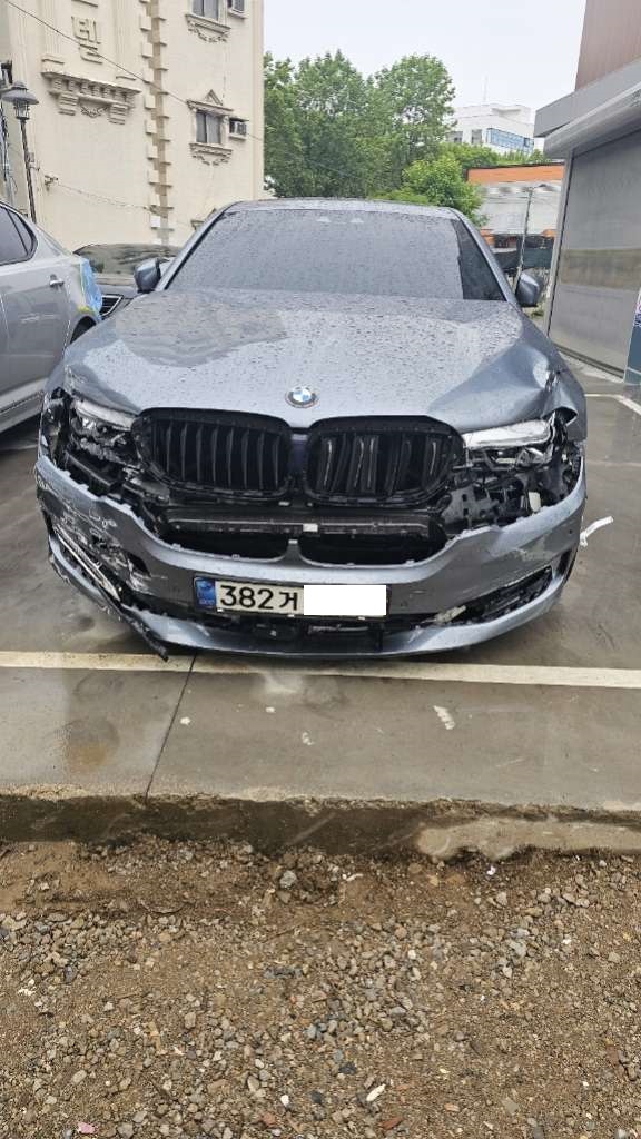 2020 BMW 530i xDrive Luxury, photograph 1