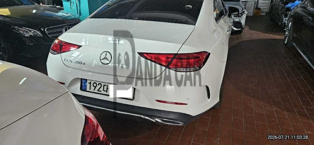 2019 Mercedes-Benz CLS 300 d, photograph 4