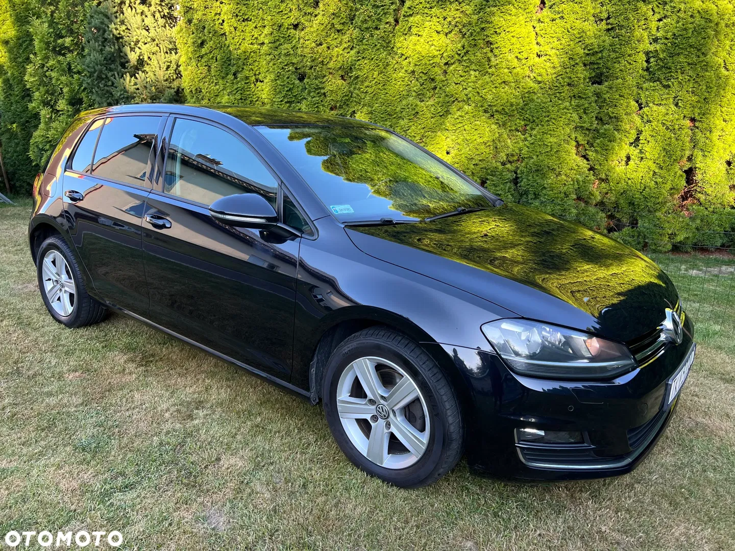 2012 Volkswagen Golf 1.6 TDI Highline, photograph 12