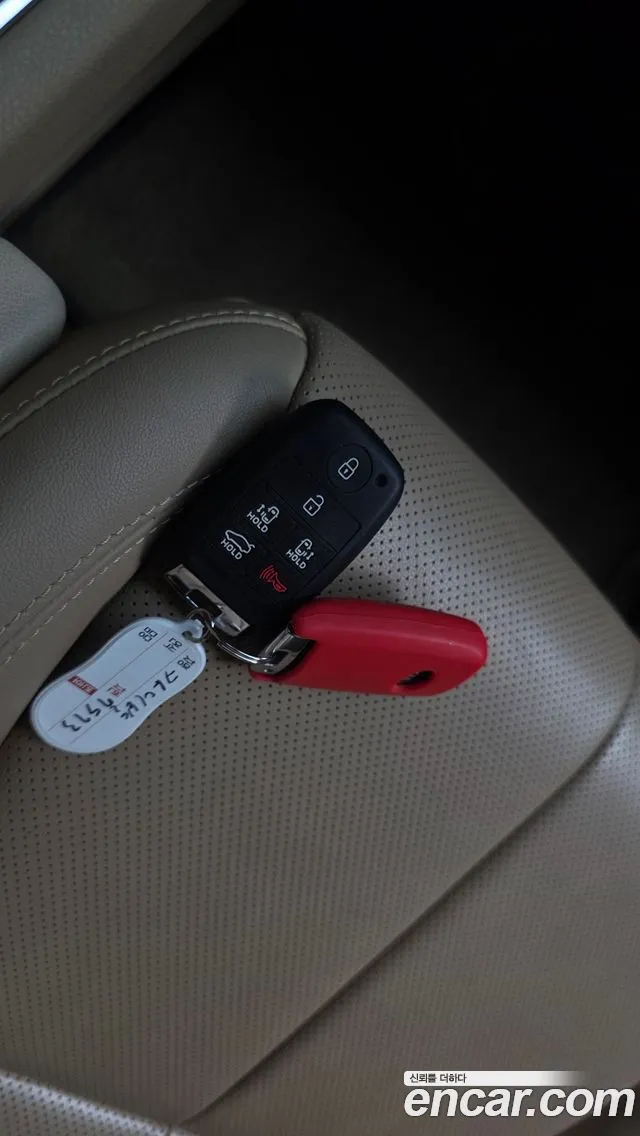 Kia Canival 9-Seater Noblesse Special — photo 1 of 33