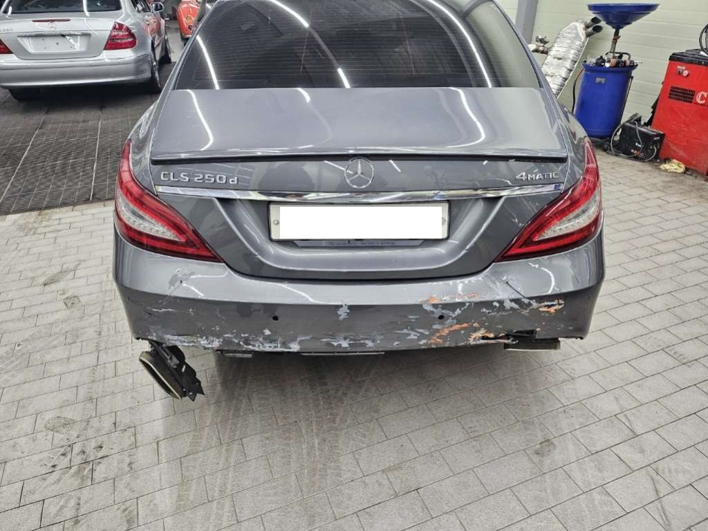 2017 Mercedes-Benz CLS250 d 4Matic, photograph 4