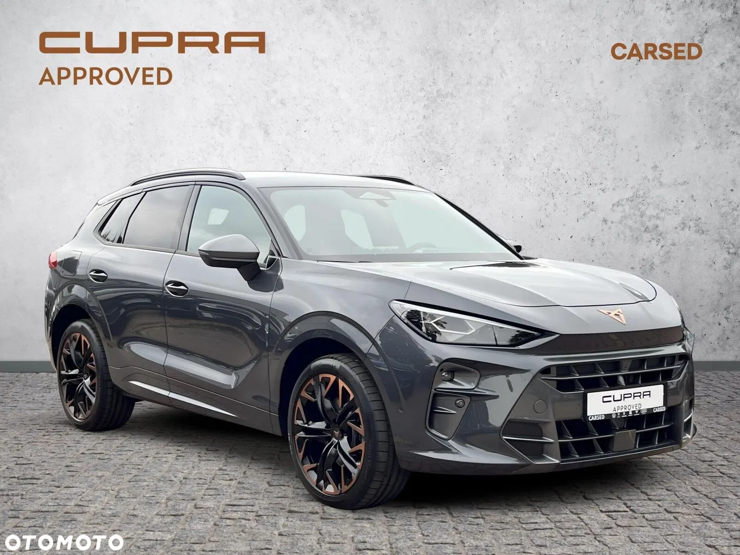 2025 Cupra Terramar 2.0 TSI 4Drive VZ DSG, photograph 9