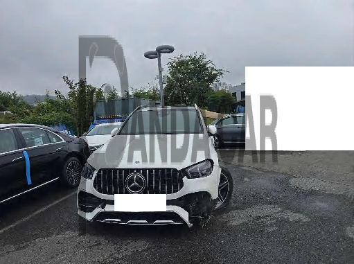 2022 Mercedes-Benz GLE300 d 4MATIC, photograph 1