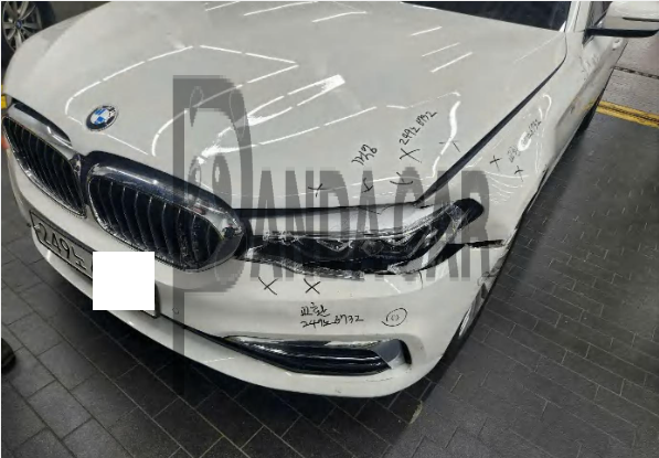 2019 BMW 530i xDrive Luxury, photograph 1