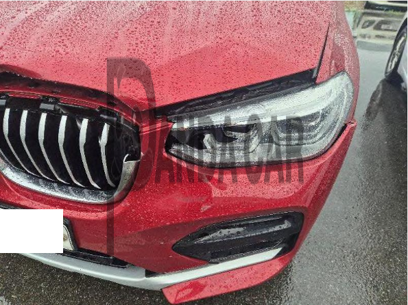 2020 BMW X4 xDrive20d xLine, photograph 4