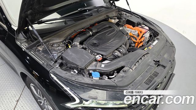 2021 Kia K5 Noblesse, photograph 6