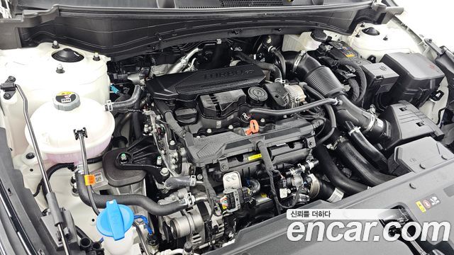 Kia Sportage Gasoline 1.6 Turbo 4WD — photo 1 of 34