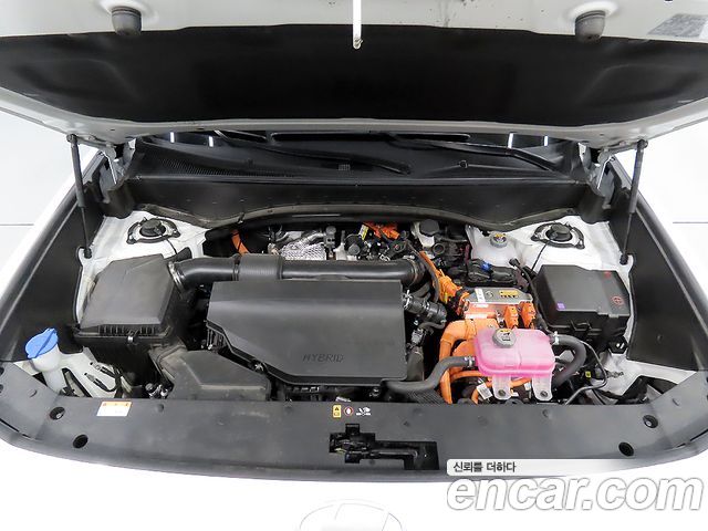 Hyundai Palisade HEV 2.5T 2WD 7-Seater — photo 1 of 20