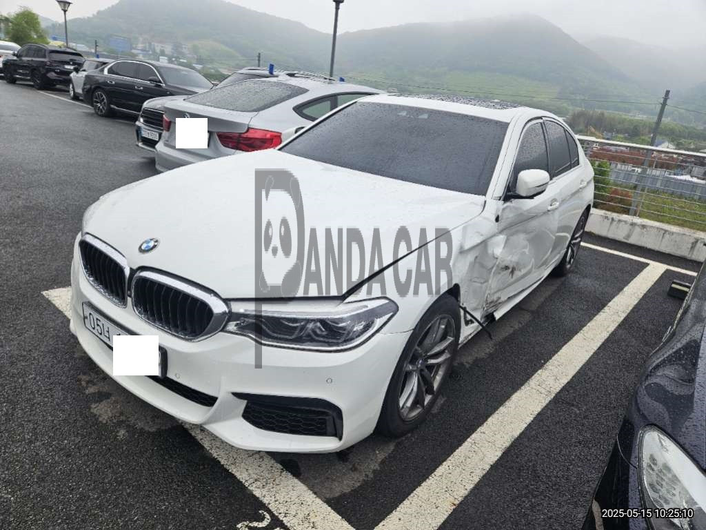 2019 BMW 520d M Sport Package, photograph 1